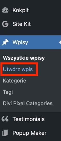 Plik:Wpisy - Utwórz wpis.jpg